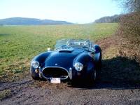 MARTINS RANCH Shelby Cobra  